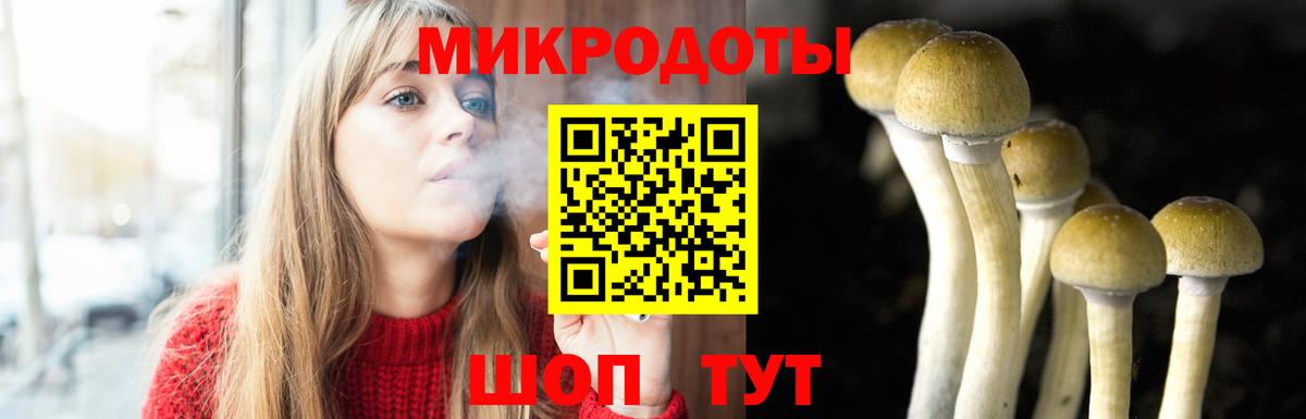 Псилоцибиновые грибы Psilocybine cubensis  Галлюциногенные грибы мухоморы  Аргун  Вход с VPN 